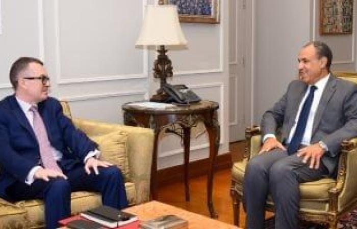 وزيرا الخارجية والتخطيط يبحثان الجهود الحكومية لتحقيق مستهدفات مصر التنموية - بوابة نيوز مصر