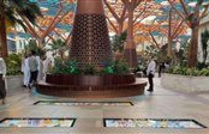 غابة مكيفة في قلب الصحراء… قطر تكسر معادلة الصيف المشتعل في الخليج - بوابة نيوز مصر