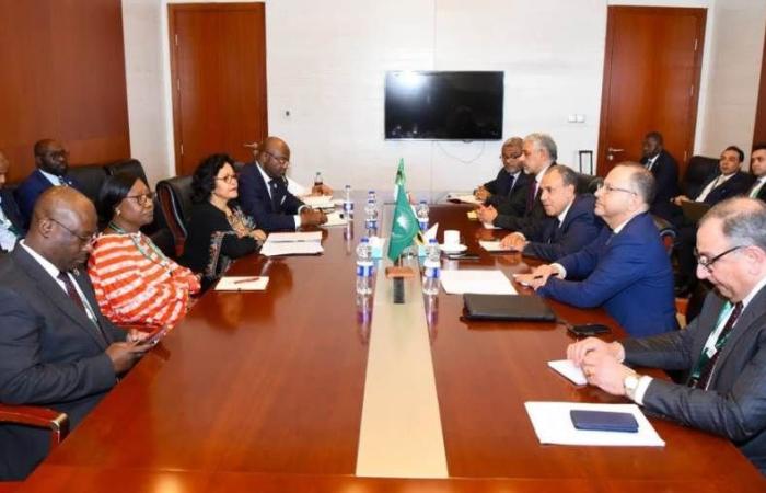 وزير الخارجية يلتقي رؤساء بنك التصدير والاستيراد الأفريقي وبنك التنمية الأفريقي على هامش أعمال قمة الاتحاد الافريقى - بوابة نيوز مصر