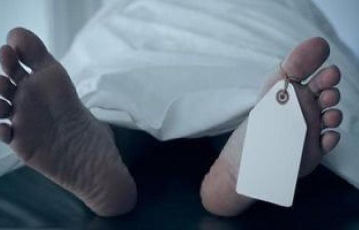 شاب يقتل نجل عمته بسبب خلافات بينهما فى المنوفية - بوابة نيوز مصر