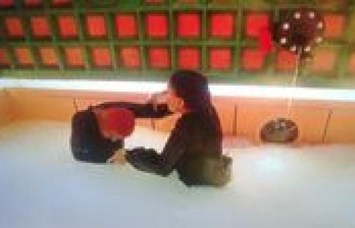 هموتكم كلكم.. غادة عبد الرازق تنهال على رامز جلال بالضرب في برنامج رامز ليفل الوحش - بوابة نيوز مصر