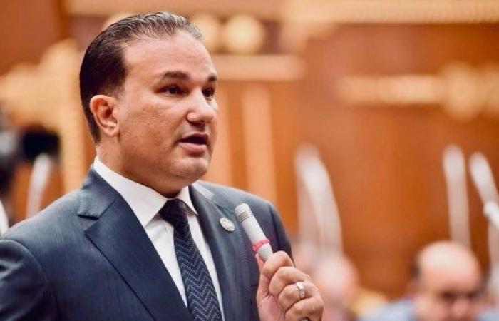 برلماني: سندات التجزئة عبر البريد نقلة نوعية في أدوات الادخار القومي - بوابة نيوز مصر