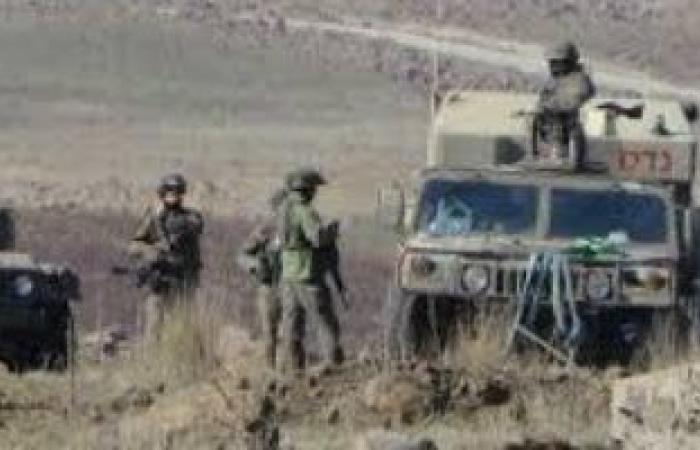 النائبة ميرال الهريدى: بيان الخارجية تأكيد للثوابت المصرية تجاه فلسطين - بوابة نيوز مصر