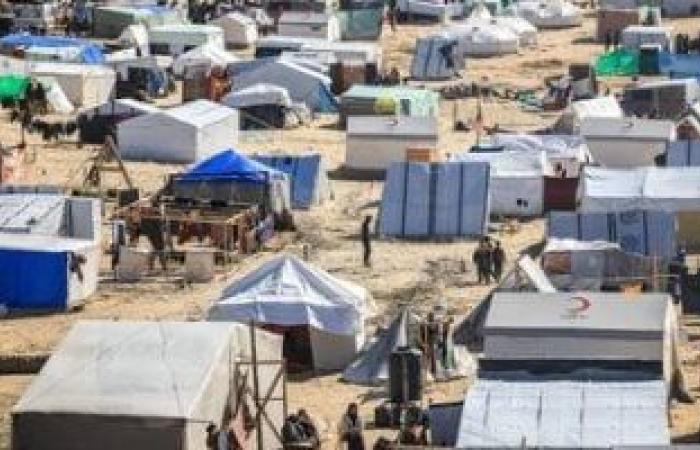 استاذ قانون دولى: مصر دعمت القضية الفلسطينية بالدبلوماسية والقوة الناعمة - بوابة نيوز مصر