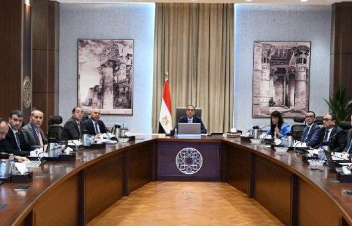 نائب: توجيهات الحكومة للمحافظين الجدد تعزز الثقة في مناخ الاستثمار - بوابة نيوز مصر