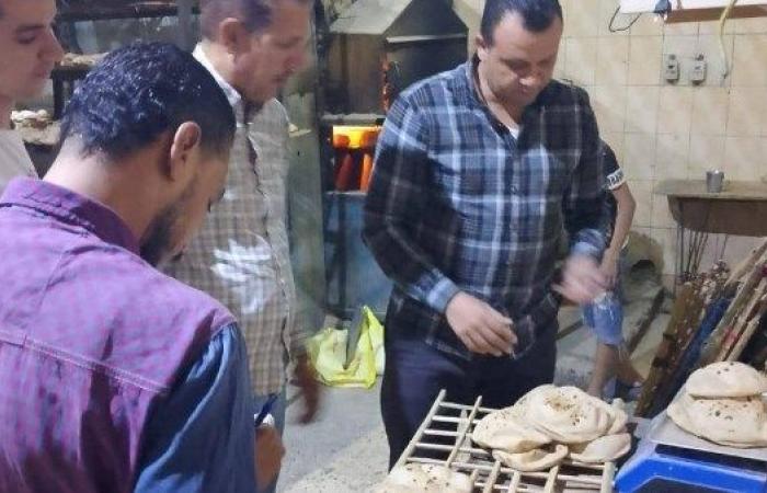 استولوا على 30 جوال دقيق بلدى مدعم بالغربية .. أصحاب 4 مخابز يواجهون هذه العقوبة بالقانون - بوابة نيوز مصر
