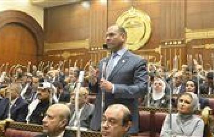 النائب أحمد إدريس يتقدم بطلب مناقشة عامة لاستيضاح سياسة الحكومة بشأن توطين صناعة الدواء - بوابة نيوز مصر
