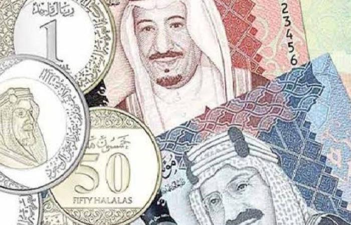 أقل سعر بيع الريال السعودي اليوم الأحد - بوابة نيوز مصر