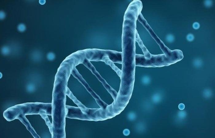 هل نرث أعمارنا؟.. بحث علمي يثبت أن الوراثة تحدد 50% من طول عمر الإنسان - بوابة نيوز مصر