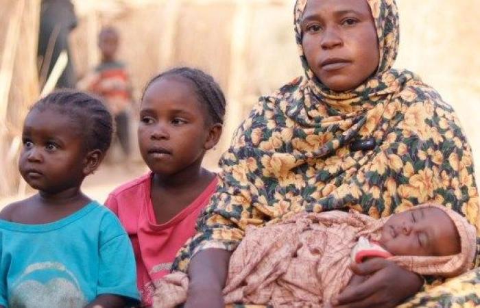 مجــ.ـازر عرقية وعنف جنسـ.ـي.. «الأمم المتحدة»: قوات الدعم السريع أظهرت نية الإبادة الجماعية في الفاشر - بوابة نيوز مصر