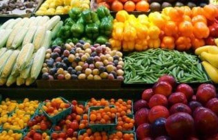 ما آليات مضاعفة الصادرات المصرية إلى أوروبا؟.. تعرف على التفاصيل - بوابة نيوز مصر