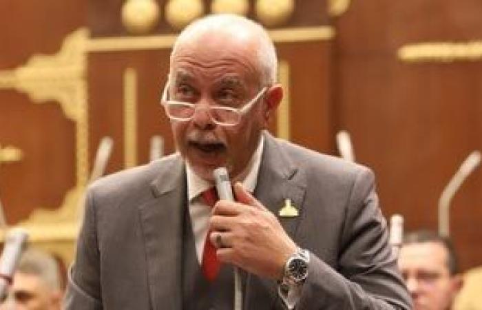 حازم الجندى: أى مساس بالوضع القانونى للأراضى المحتلة يقوض الأمن الإقليمى - بوابة نيوز مصر