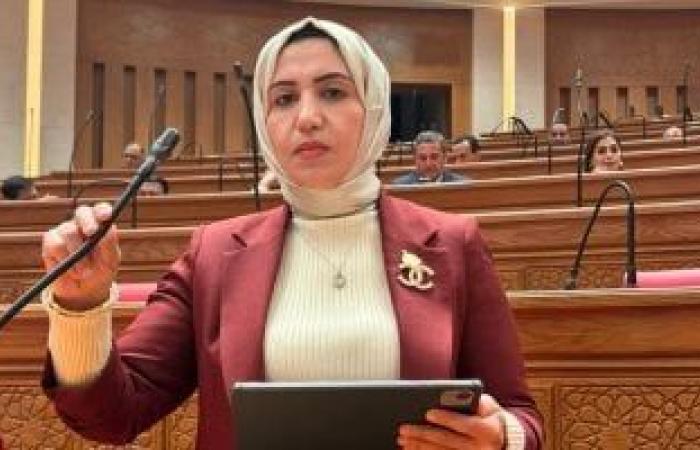 نائبة: الدراما الهادفة تعزز الهوية وتحمى الأجيال الجديدة من الانحراف الفكرى - بوابة نيوز مصر