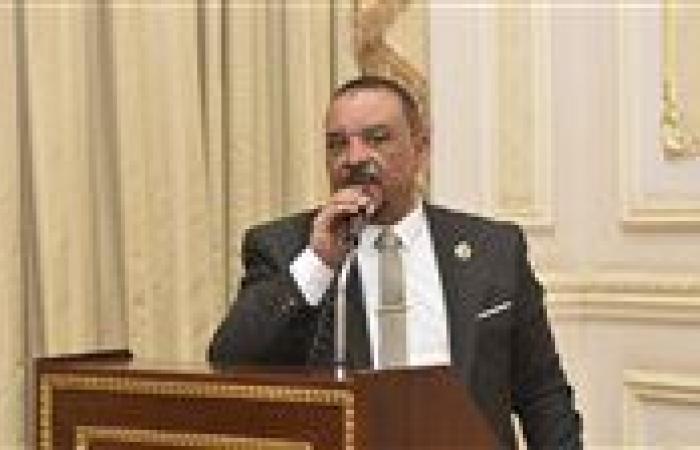 النائب أحمد حافظ يدعو لإحكام الرقابة على الأسواق والتوسع في «أهلاً رمضان» لضمان استقرار الأسعار - بوابة نيوز مصر