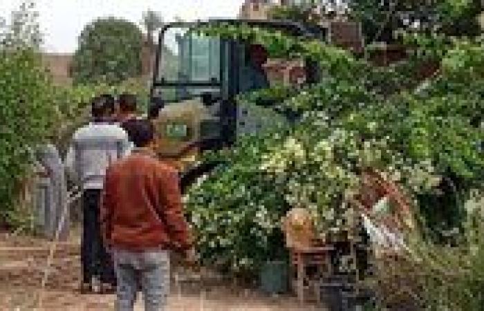 حبس غرامة 5 مليون جنيه.. عقوبات مشددة للتعدي على الأراضي الزراعية - بوابة نيوز مصر