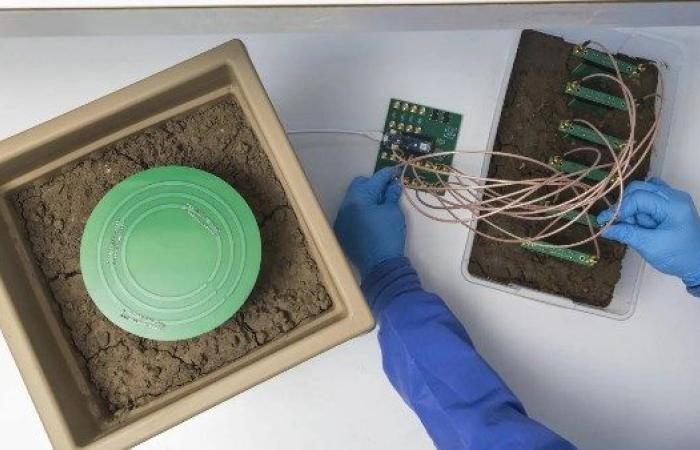 ابتكارات علمية لزراعة مستدامة بأقل التكاليف - بوابة نيوز مصر