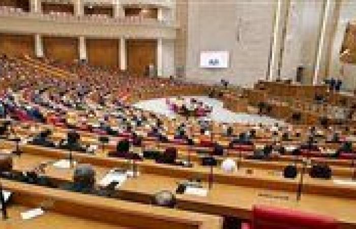 النائب رضا عبد السلام يطالب بحل أزمة إجازات عمال الكهرباء ويرفض تحويل العاصمة الإدارية إلى «مقاطعة» - بوابة نيوز مصر