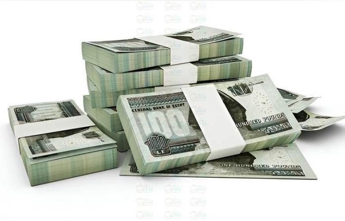 500 مليون جنيه حصيلة الاكتتاب في «سند المواطن» خلال 3 أيام من الطرح بالبريد المصري - بوابة نيوز مصر