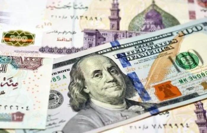 رسميا... سعر الدولار مقابل الجنيه في مصر اليوم - بوابة نيوز مصر