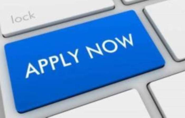 فرصة عمل في بنك الإسكندرية.. "التفاصيل وكيفية التقديم" - بوابة نيوز مصر