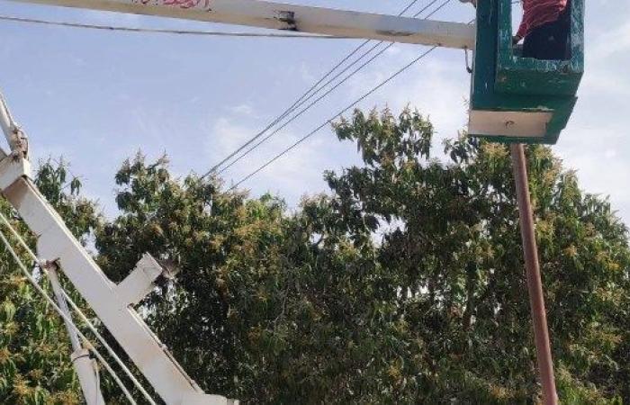 حملة صيانة لمنظومة الإنارة بقرى الدائرة الثالثة بالإسماعيلية - بوابة نيوز مصر