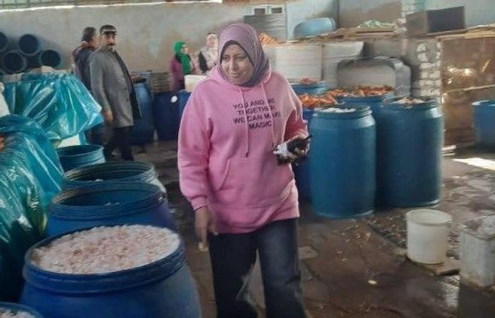 ضبط معمل لتصنيع مخللات فاسدة بميت أبو شيخة في المنوفية - بوابة نيوز مصر