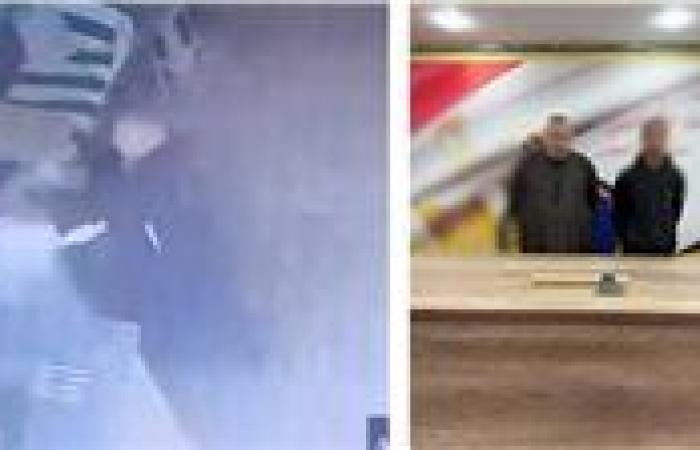 خلاف مالي يتحول إلى اعتداء أمام محل فواكه بالبحر الأحمر - بوابة نيوز مصر