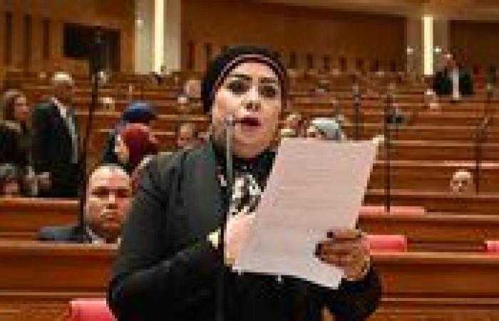 جيهان شاهين: «صحاب الأرض» دراما وطنية تفضح الزيف وتؤكد ثوابت الموقف المصري من القضية الفلسطينية - بوابة نيوز مصر