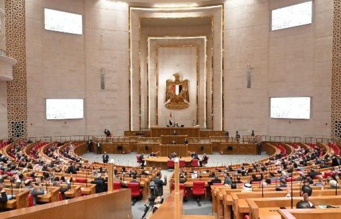 بسبب الحرب .. لجنة الشؤون العربية بمجلس النواب تخصص بريدا إلكترونيا لتقديم الدعم للمصريين بالخارج - بوابة نيوز مصر