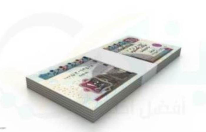 قروض الشركات لـ 12 بنكا مدرجا ترتفع إلى 1.395 تريليون جنيه بنهاية 2025 - بوابة نيوز مصر