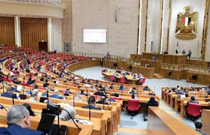 بعد موافقة النواب على القانون.. منح الورثة الحق في إعادة القيد بسجل المستوردين خلال عام - بوابة نيوز مصر