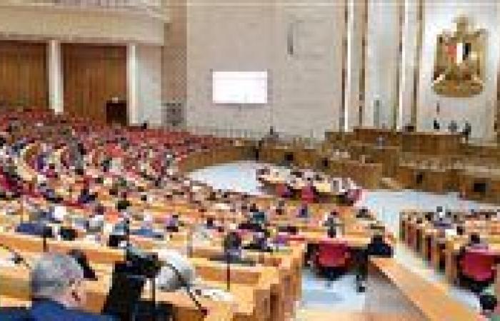 "نقل النواب" تستعرض 4 اتفاقيات دولية لتنفيذ المرحلة الثالثة من القطار الكهربائي الخفيف بالعاشر من رمضان - بوابة نيوز مصر