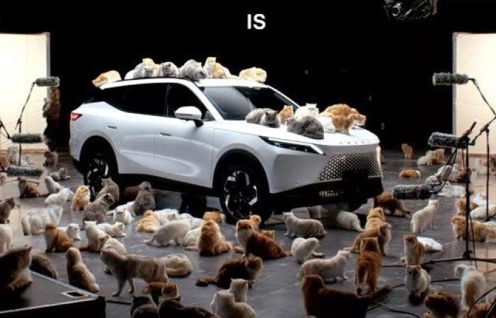 شركة سيارات صينية تستخدم القطط للترويج لسيارتها الجديدة - بوابة نيوز مصر