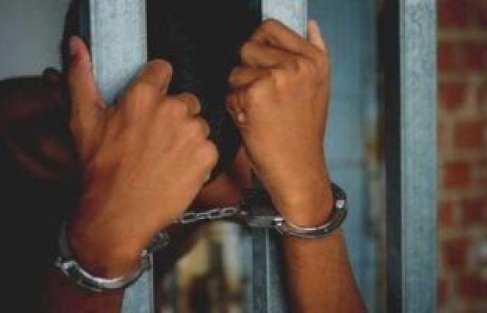 إحالة المتهم بقتل شاب وإصابة والده وشقيقه بالغربية لفضيلة المفتى - بوابة نيوز مصر