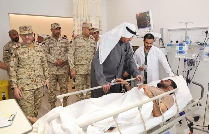 «الدفاع» تنعى الشهيدين وتعلن إصابة 27 منذ بدء العمليات - بوابة نيوز مصر