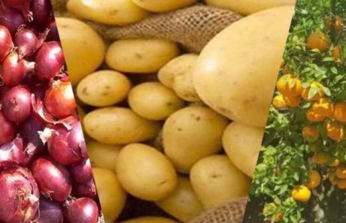 بين الحرب والتجارة.. مصر تعيد توجيه الحاصلات الزراعية للسوق المحلي وخبير يوضح مستقبل الأسعار - بوابة نيوز مصر