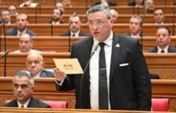 نائب: الهجوم الإسرائيلى على «صحاب الأرض» يعكس قوة الدراما - بوابة نيوز مصر