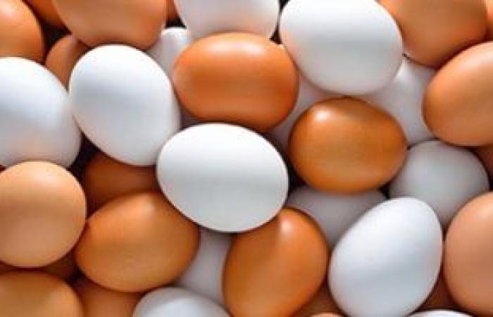 كيف يؤثر  تناول البيض على ضغط الدم ومستويات الكوليسترول؟ - بوابة نيوز مصر