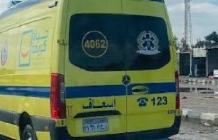 مصرع شخصين إثر حادث سيارة بطريق إسكندرية الصحراوى - بوابة نيوز مصر