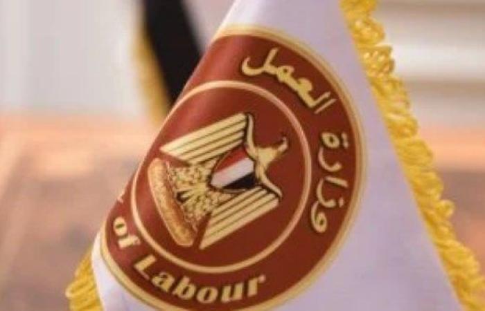 5188 فرصة عمل.. وزارة العمل تطلق نشرة التوظيف برواتب مجزية وتأمين شامل - بوابة نيوز مصر