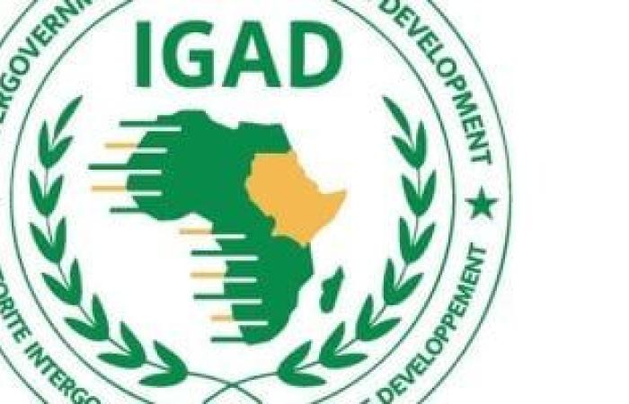 لقاء بين إيجاد ومفوضية الاتحاد الإفريقي لتعزيز التنسيق في قضايا السلام - بوابة نيوز مصر