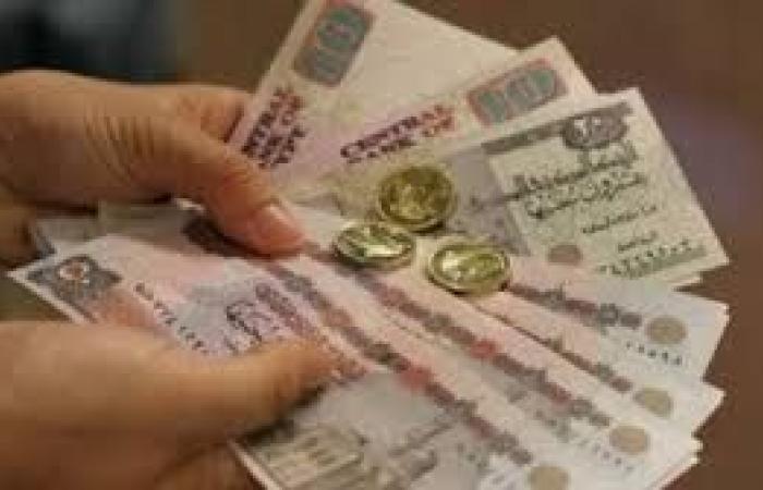 إيه الفرق بين الزكاة وصدقة الفطر؟ إمام السيدة زينب يكشف عنه - بوابة نيوز مصر