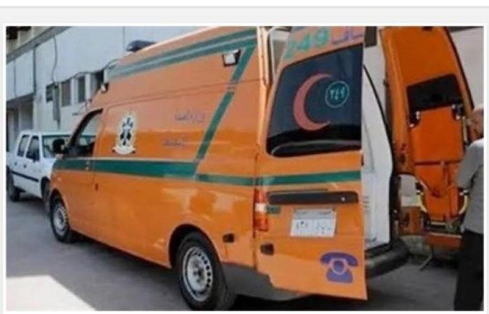 رشقهم بالحجارة فسحلوه.. 3 شباب يهشمون رأس مريض نفسي بالجيزة - بوابة نيوز مصر