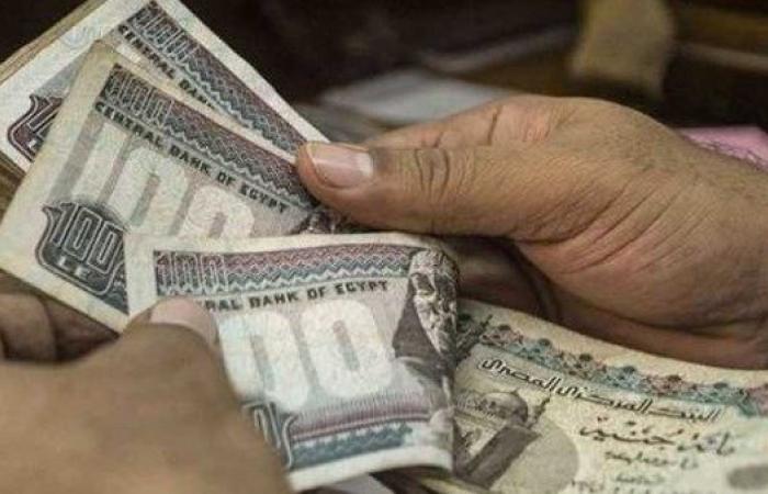 حالات يعاد فيها توزيع المعاش بين المستحقين.. اعرف التفاصيل - بوابة نيوز مصر