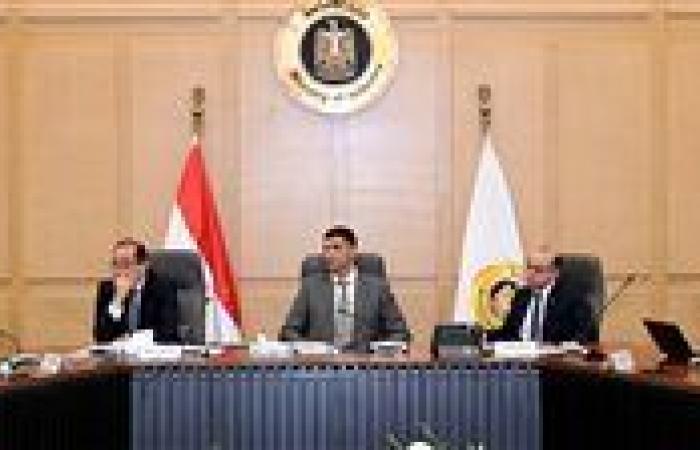 تحالف وزاري لدعم صناعة السيارات.. حوافز واستثمارات جديدة لتعميق التصنيع المحلي - بوابة نيوز مصر