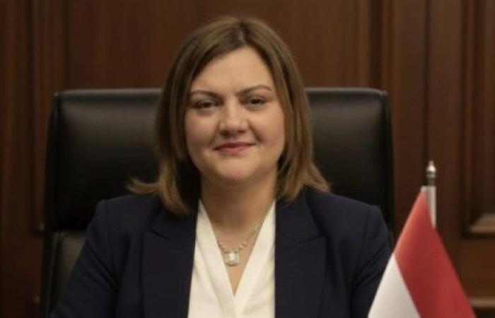 حماة الوطن: أمن المواطنين في الخارج أولوية قصوى للدولة ومصر تدير الأزمة بتوازن - بوابة نيوز مصر