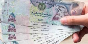 سعر الدرهم الإماراتي اليوم الثلاثاء 17-9-2024 بالبنوك - بوابة نيوز مصر