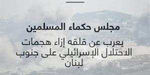 حكماء المسلمين يعرب عن قلقه إزاء هجمات الاحتلال على جنوب لبنان - بوابة نيوز مصر