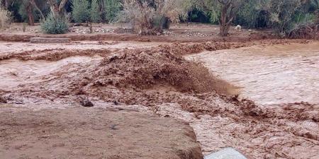 السلطات المحلية بطاطا ترمي بكرة تعويض المتضررين في ملعب الحكومة - بوابة نيوز مصر