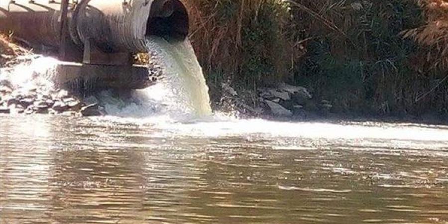 بماذا ينص القانون حول عقوبة إلقاء المخلفات بمياه النيل؟ - بوابة نيوز مصر